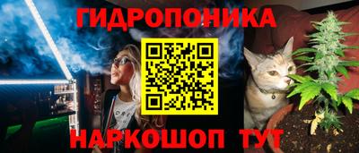 амф Пенза