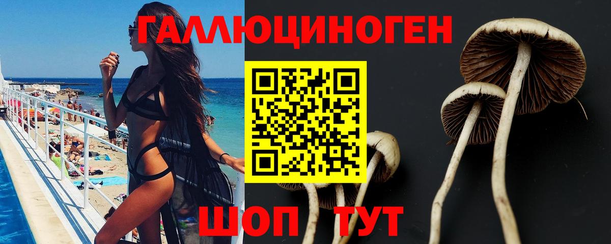 Галлюциногенные грибы Psilocybe  Вход с VPN  Салехард 